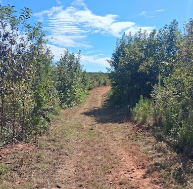 30a Bowie Rd, Troy, SC 29848 - photo 3