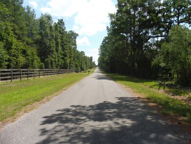 TBD Pinewood Valley, Hockley, TX 77447 - photo 2