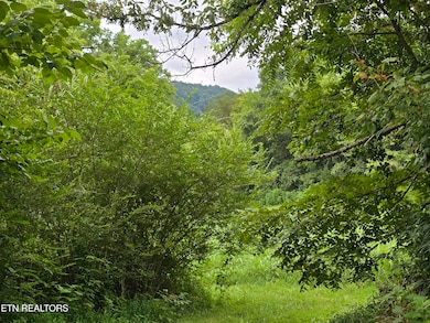 6835 Mulberry Gap Rd, Sneedville, TN 37869 - photo 3