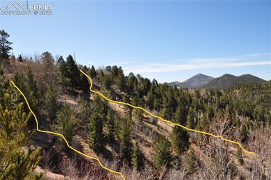 Property Lines are approximate and not a survey.