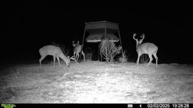 2 Cemetery Rd, Ecru, MS 38841 - photo 3