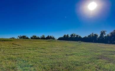 Tract #1 Farm To Market 1774, Anderson, TX 77830 - photo 3