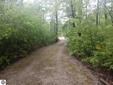 41 S Huron Rd, Au Gres, MI 48703 - photo 5