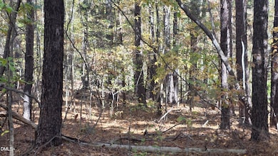 0 Krafft Corner unit 10130210, Kittrell, NC 27544 - photo 5