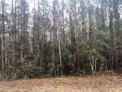 28.70 Cooks Corner, Lucedale, MS 39452 - photo 5