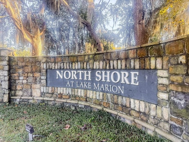 1082 Bridge View Ln unit A101, Summerton, SC 29148 - photo 3