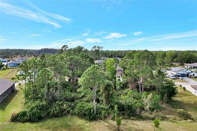 867 Youngreen Dr, Lehigh Acres, FL 33913 - photo 5