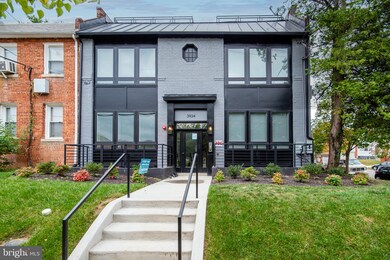 3934 10th St NE unit 3, Washington, DC 20017 - photo 3