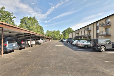 5970-SharonWoods-07