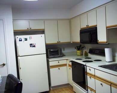 1303 Village Dr unit 1303, Stroudsburg, PA 18360 - photo 7