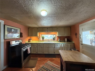 34562 State Highway 17, Antonito, CO 81120 - photo 5