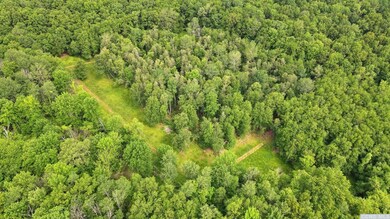 0 Doodletown Rd, Ancram, NY 12502 - photo 5