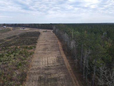 1526 Coal Bluff Rd, Lena, MS 39094 - photo 2