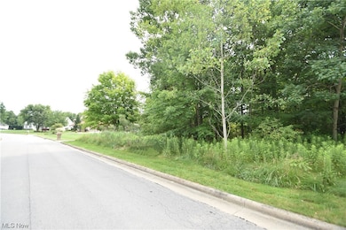 0 Saddlebrook Lot 153 Dr unit 4442592, Boardman, OH 44512 - photo 4