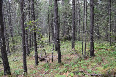Nhn Fox Ln, Trout Creek, MT 59874 - photo 2