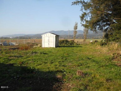 431-493780 Shed 2 & back yard