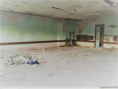 414 5th St, Illiopolis, IL 62539 - photo 6