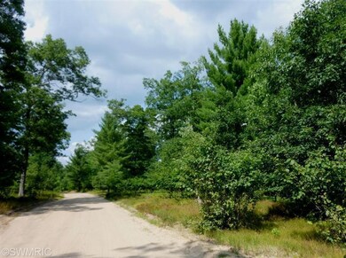 2800 W 14 Mile Rd, Lilley Township, MI 49309 - photo 2