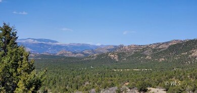 TBD Palmer Rd, Cotopaxi, CO 81223 - photo 5