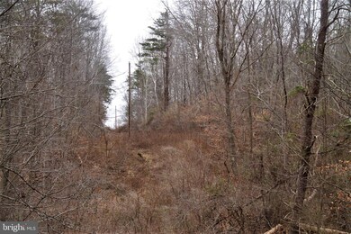 Lot 9 Carters Run Rd, Marshall, VA 20115 - photo 5
