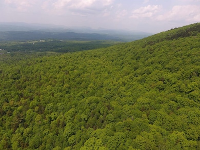 0 Bennett Rd, Kirby, VT 05832 - photo 5