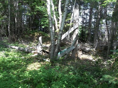 0 Gravel Pit Rd, Robbinston, ME 04671 - photo 7