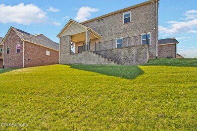 img_8487-img_8491_optional