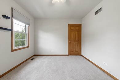 4711 Chokeberry Dr unit 1, Naperville, IL 60564 - photo 3