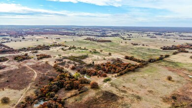 TBD Farm To Market 920, Poolville, TX 76487 - photo 4