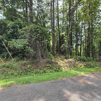 View of street featuring a forest view