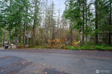 318 Paradise Dr, Eatonville, WA 98328 - photo 5