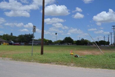 727 N Tower Rd, Alamo, TX 78516 - photo 3
