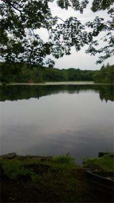 15 Causeway Shores, Dudley, MA 01571 - photo 4