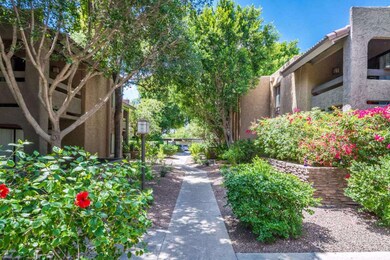 3825 E Camelback Rd Unit 292 - MLS-20