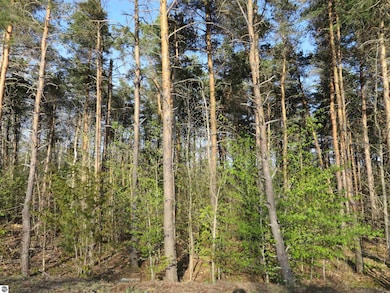 4169 Maple Hill Rd unit E, Blair Township, MI 49637 - photo 2