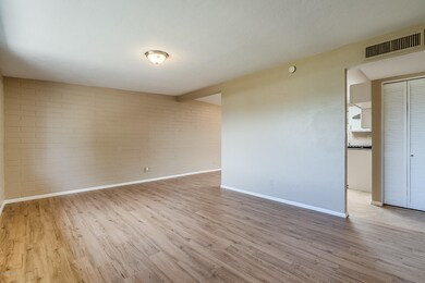 Desert Spring Drive-6
