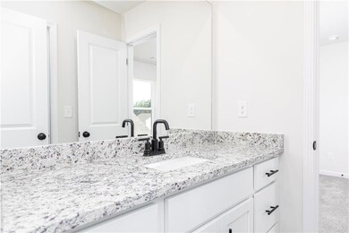 456 Egret Ct, Hoschton, GA 30548 - photo 3