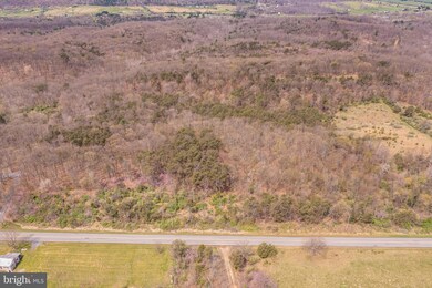 17.5 Acres N Timber Ridge Rd, Cross Junction, VA 22625 - photo 7