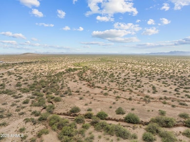 large-01924ed8-b281-718b-a80c-e1e557de42