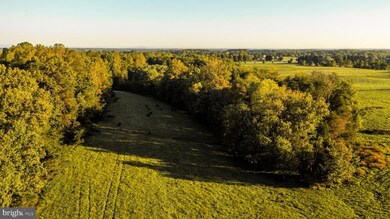 3553 Bibb Store Rd, Louisa, VA 23093 - photo 4