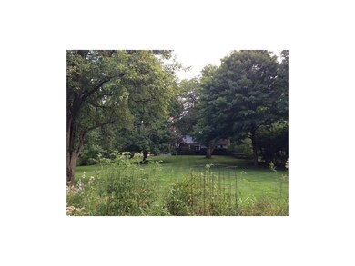 What a Beautiful Yard