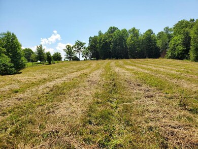 7A Coles Chapel Rd, Sparta, TN 38583 - photo 7