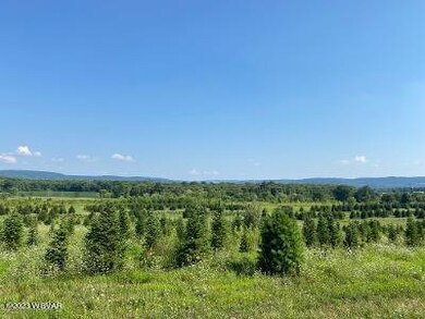 0 Lime Bluff Rd unit 3 WB-96792, Muncy, PA 17756 - photo 2