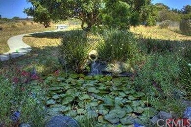 Nice little pond in the back yard.