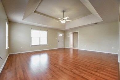 Beautiful tray ceiling