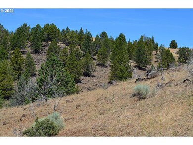 0 Davis Creek unit 21278766, John Day, OR 97845 - photo 4