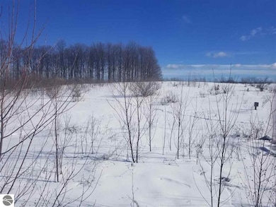 13507 S Bahia Vista Dr unit 16, Traverse City, MI 49684 - photo 7