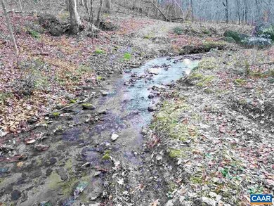 0 Leathers Rd unit 611763, Robertson, VA 22719 - photo 4