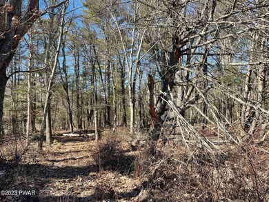 Lot 19 Mountain Springs Rd, Milford, PA 18337 - photo 3