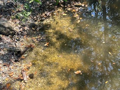 321 Ravenna St N, Nokomis, FL 34275 - photo 7